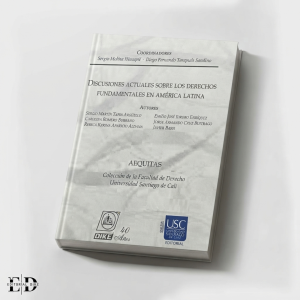 DISCUSIONES ACTUALES SOBRE LOS DERECHOS FUNDAMENTALES EN AMÉRICA LATINA