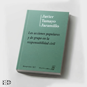LAS ACCIONES POPULARES Y DE GRUPO EN LA RESPONSABILIDAD CIVIL